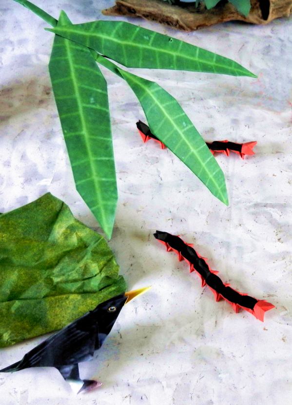 Bird looking at a Centipede