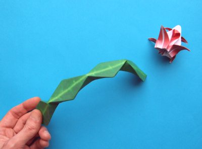 Fold an Origami Christmas Cactus