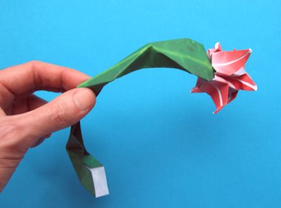 Fold an Origami Christmas Cactus Fold an Origami Christmas Cactus