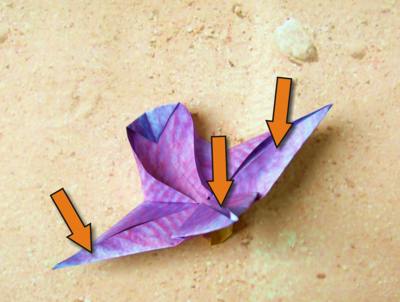 origami clematis