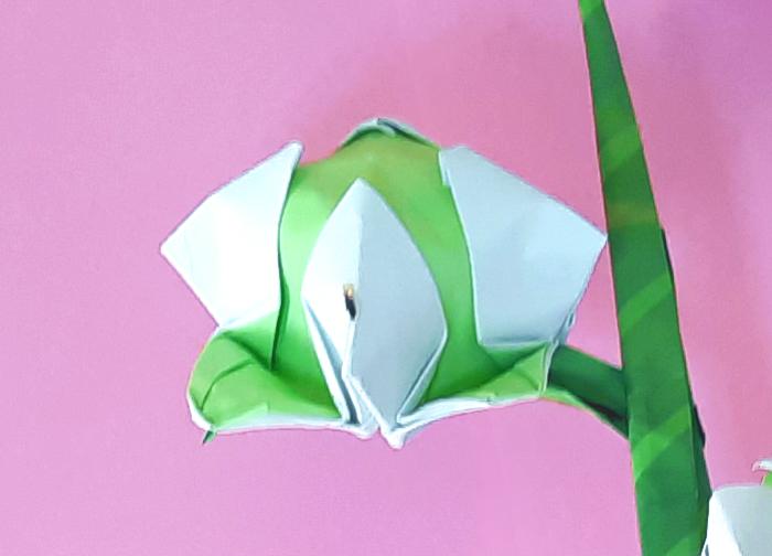 Origami katoenplant