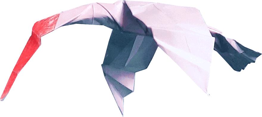 Origami Kuifibis