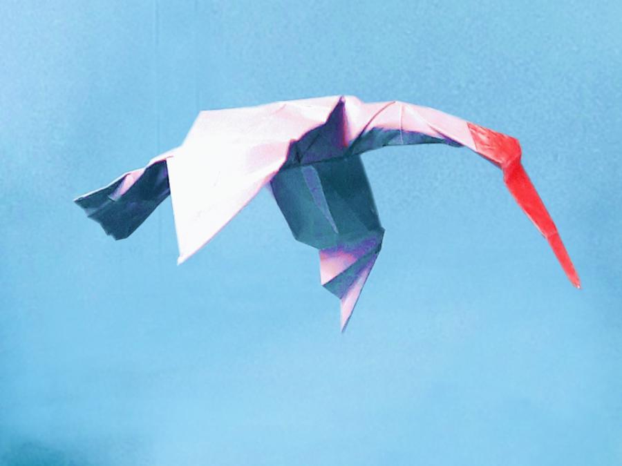 Origami Kuifibis