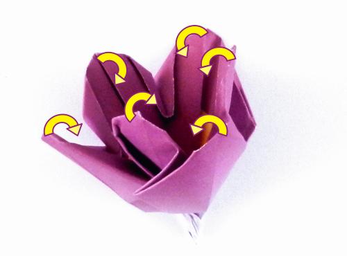 Folding an Origami Crocus flower Folding an Origami Crocus flower