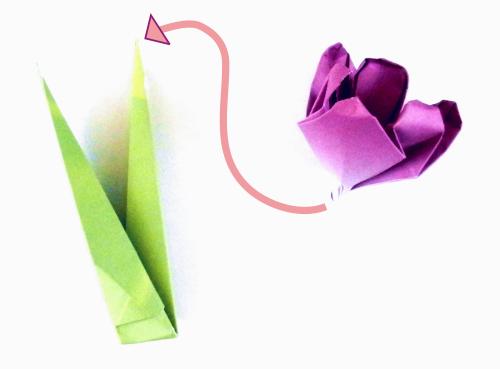 Folding an Origami Crocus flower Folding an Origami Crocus flower