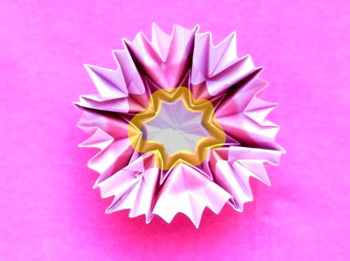 Make Origami Dahlia flowers Make Origami Dahlia flowers