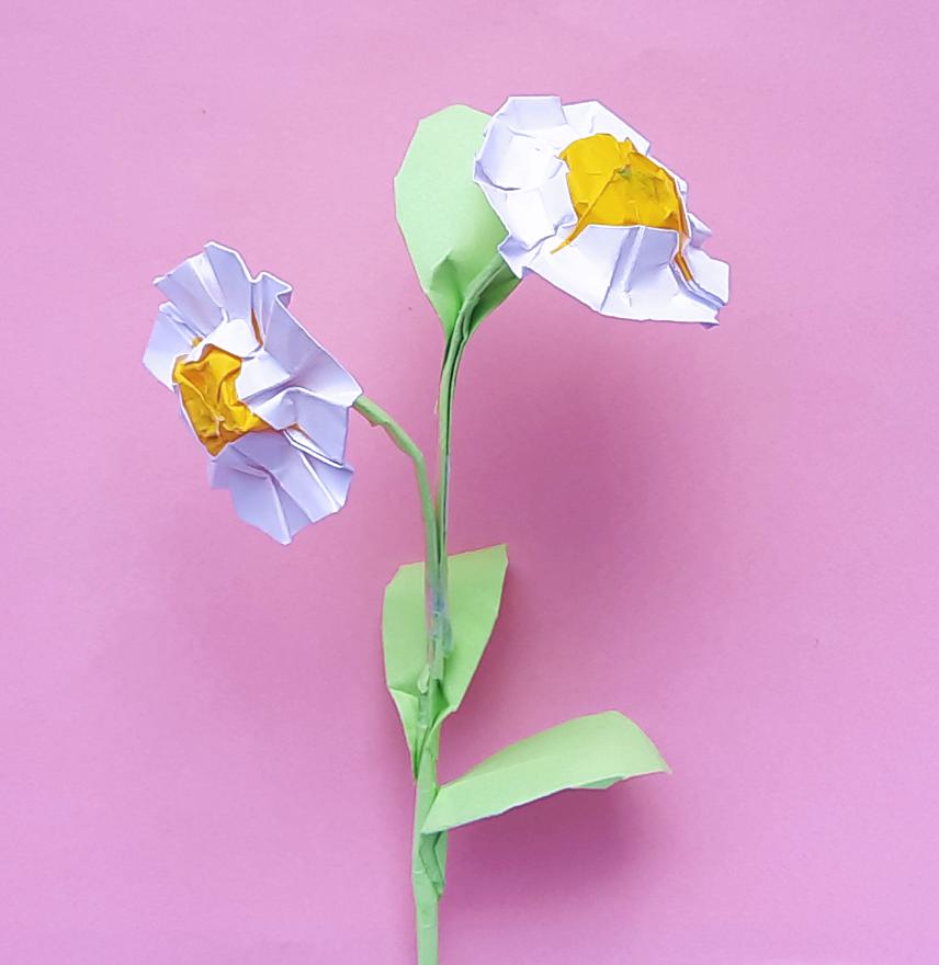 Origami Daisy Origami Daisy