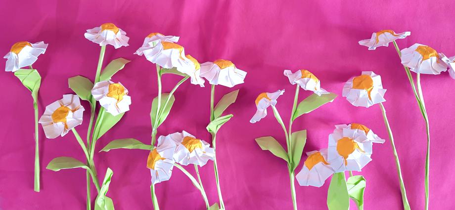 Origami Daisies Origami Daisies