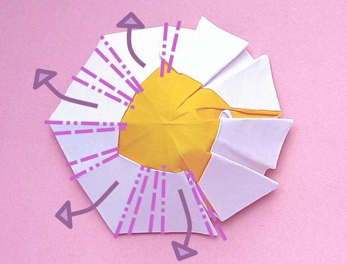 Make Origami Daisy flowers Make Origami Daisy flowers