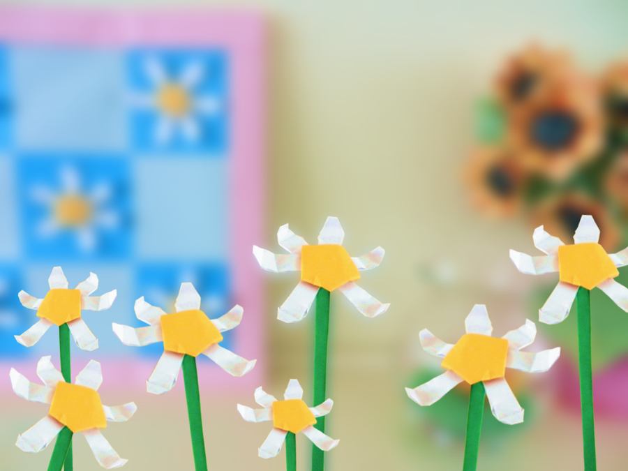 Paper daisy flowers Paper daisy flowers