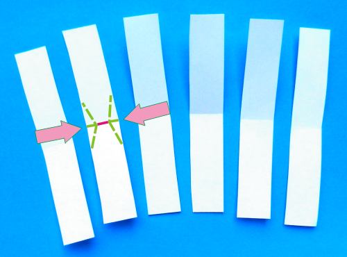 How to make paper Daisies How to make paper Daisies