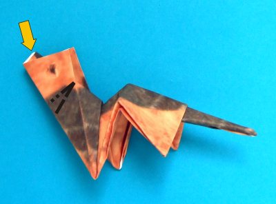 step by step origami dog folding instructions