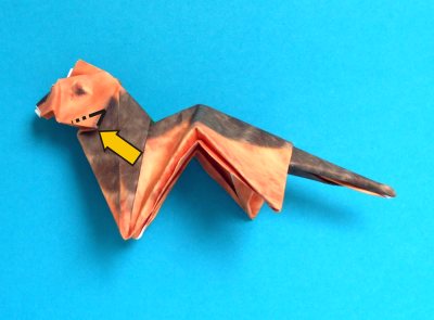 step by step origami dog folding instructions