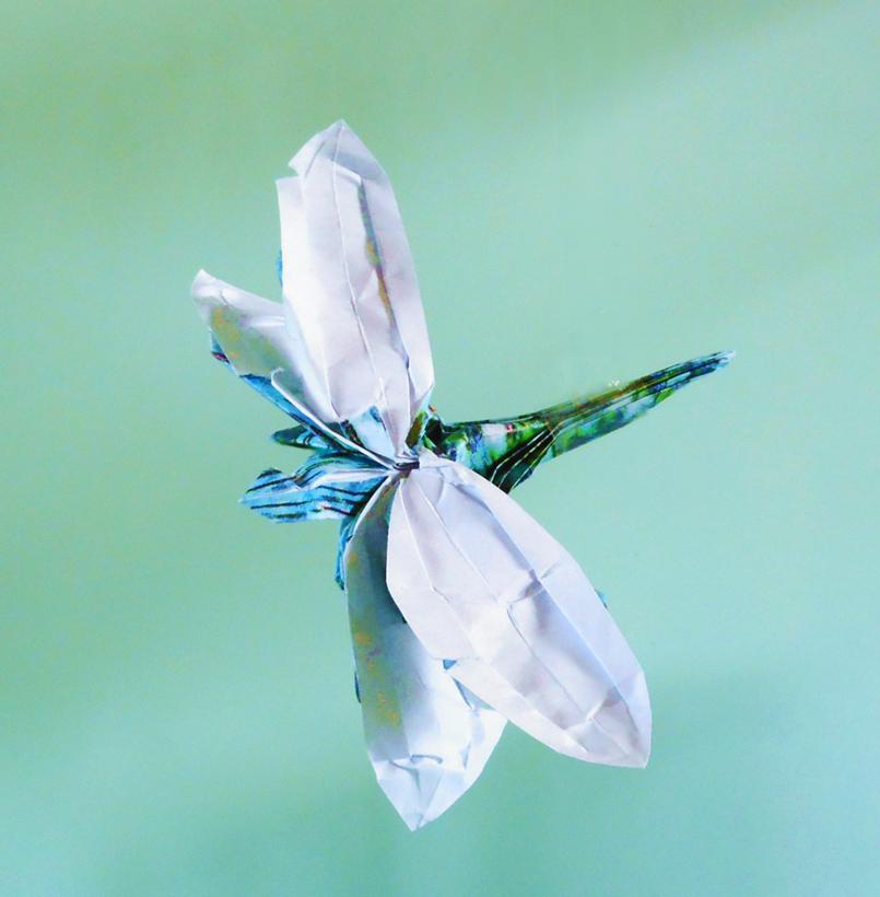 Origami Libelle