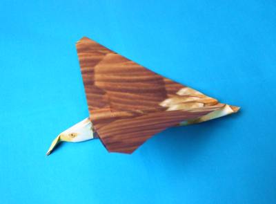 origami plane, eagle