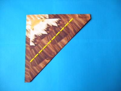 diagrammen voor een origami vliegtuigje diagrammen voor een origami vliegtuigje
