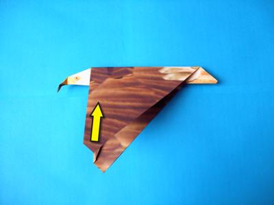 diagrammen voor een origami vliegtuigje diagrammen voor een origami vliegtuigje