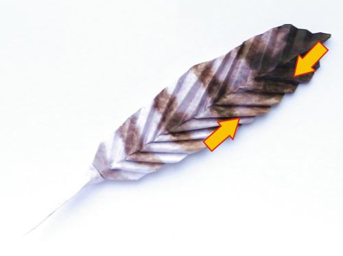 Fold an Origami feather