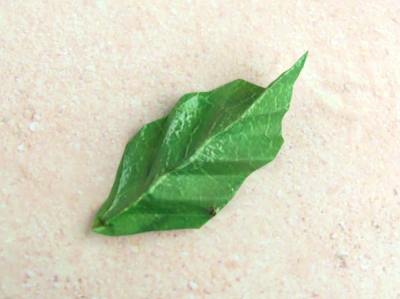 origami leaf