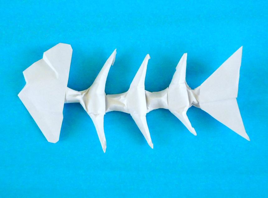 Origami visgraat