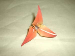 diagrammen voor een origami bloem