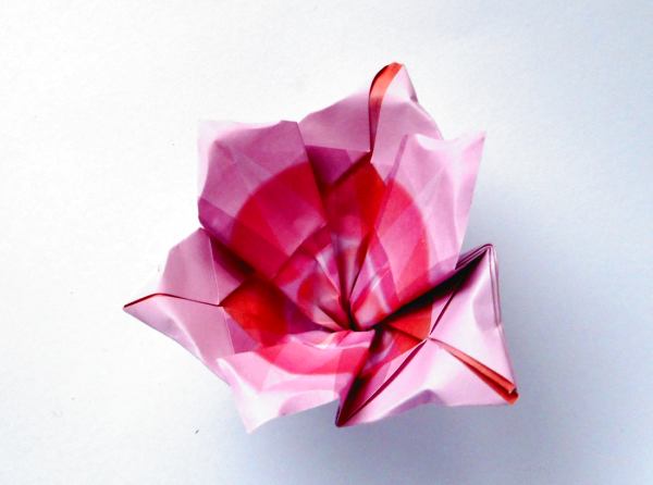 Fold an Origami gladiolus flower