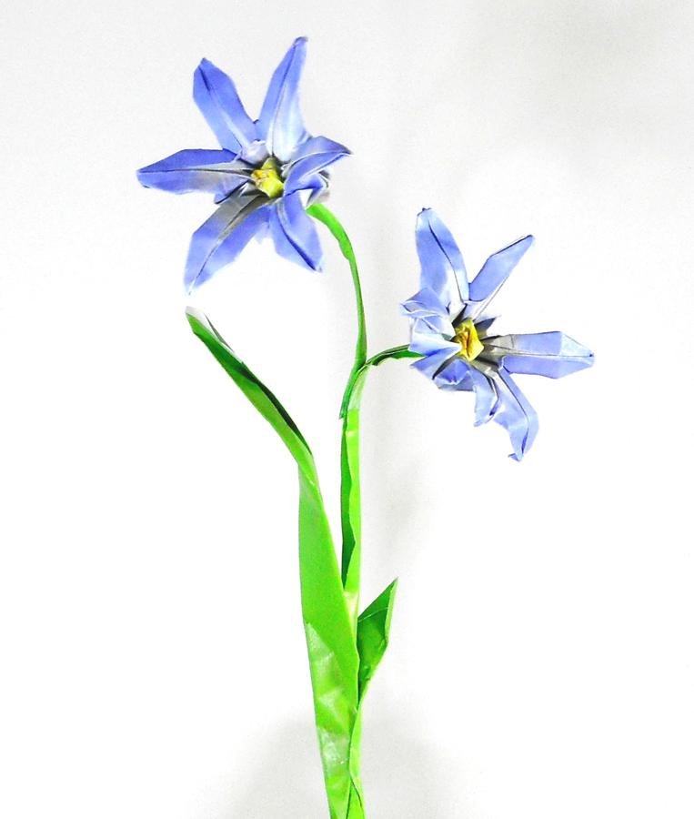 Origami Glory of the snow flower Origami Glory of the snow flower