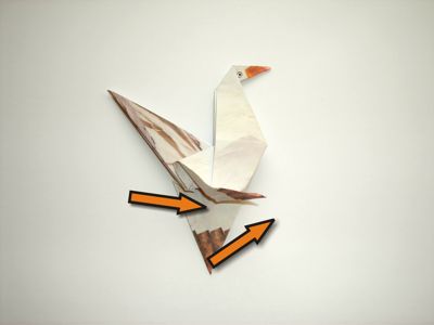 diagrammen voor een gans diagrammen voor een gans