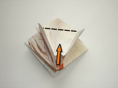 diagrammen voor een gans diagrammen voor een gans