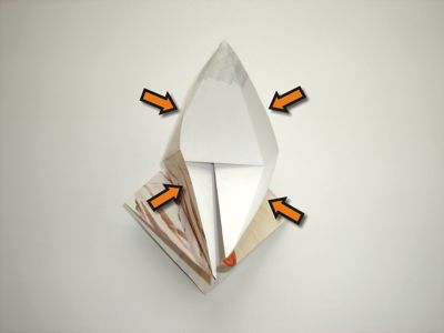 diagrammen voor een gans diagrammen voor een gans