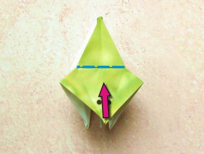 diagrams for an origami grasshopper