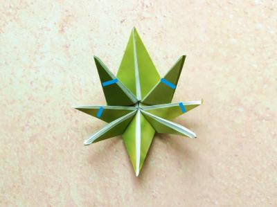 diagrams for an origami grasshopper