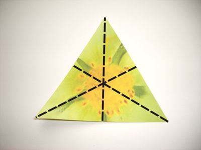 groene origami bloem groene origami bloem