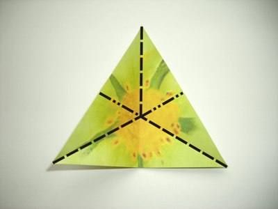 diagrammen voor een groene origami bloem