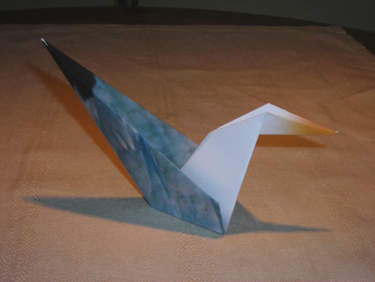 origami meeuw