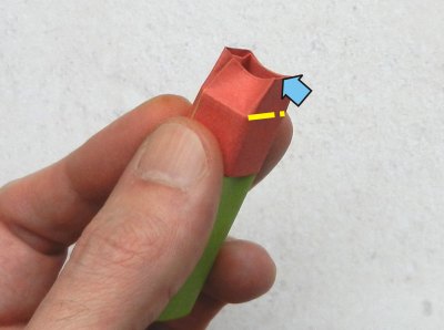 how to fold an origami red berry