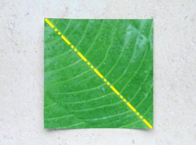 vouwpapier voor het blad van een hulst