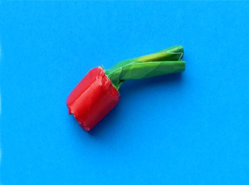 Rood besje van papier Rood besje van papier