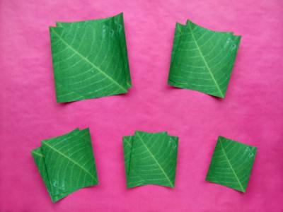 origami papers for folding a large houseplant