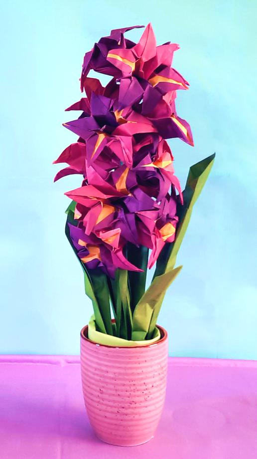 Origami Hyacinth