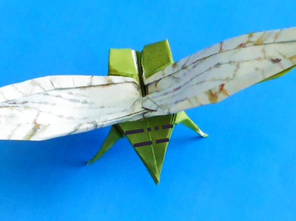 Origami insect vouwen