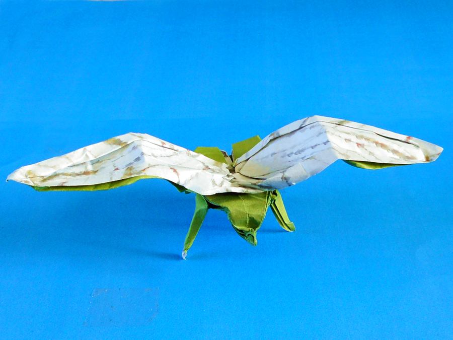 Origami insect