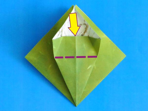 Origami insect vouwen Origami insect vouwen