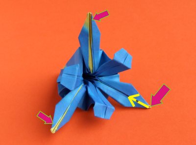 uitleg om een origami Iris te vouwen