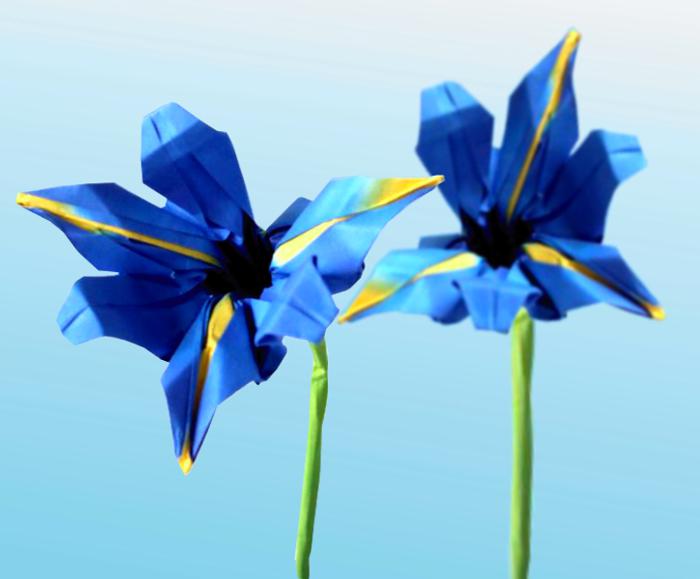 Origami Iris Flowers
