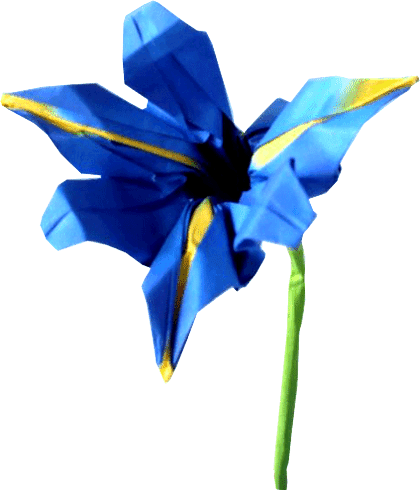 Origami Iris flower
