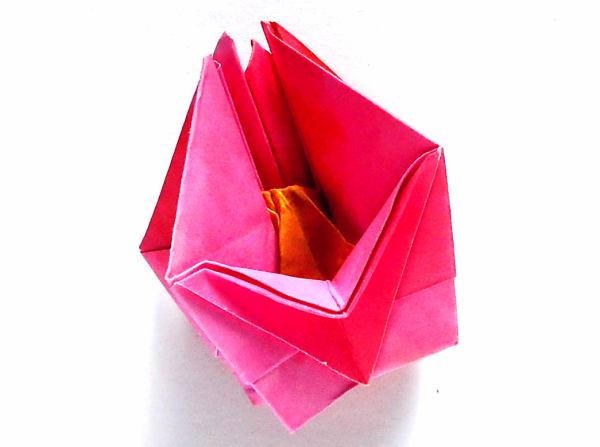 Make an Origami Ivy