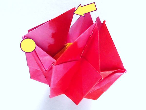 Make an Origami Ivy