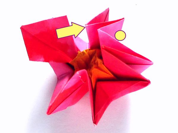 Make an Origami Ivy