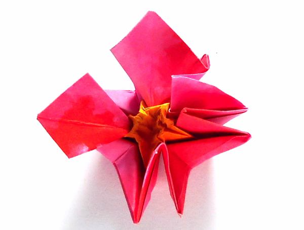 Make an Origami Ivy